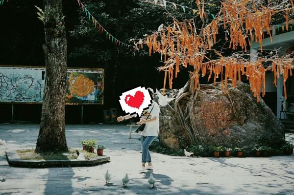 抖音博主“月月鸟不帅”免费赠送东北特产
