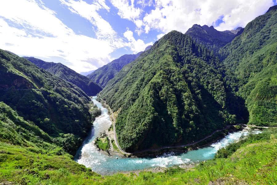 动物帮帮忙保卫家园