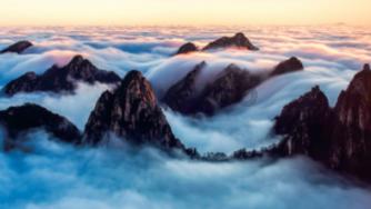 奥日与黑暗森林
